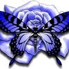 sndrgrc10